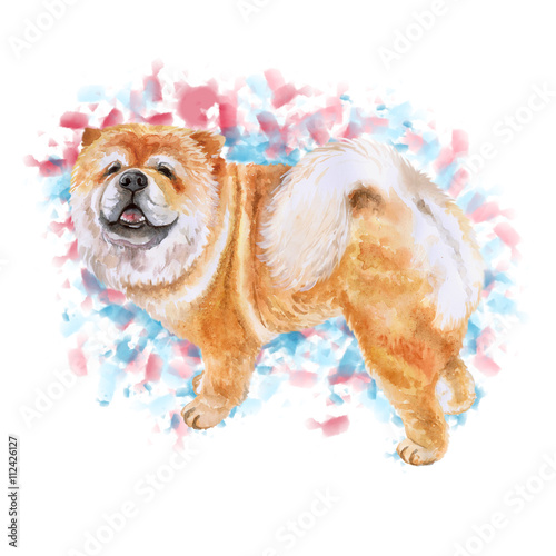 Watercolor closeup portrait of Chow chow dog isolated on colorful background. funny dog showing tongue. Hand drawn sweet home pet. Popular large breed dog posing. Greeting card design. Clip art work photo