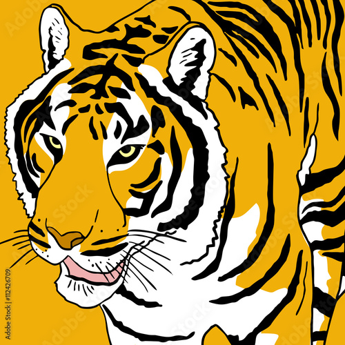 Fototapeta Naklejka Na Ścianę i Meble -  Tiger draw