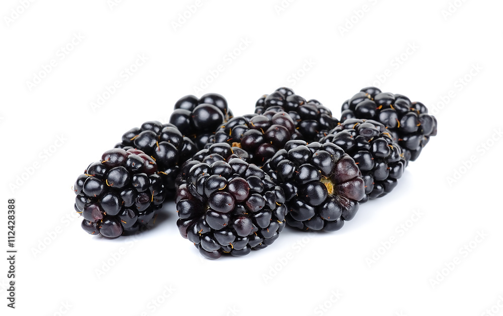 blackberry isolated on the white background blackberry isolated on the white background