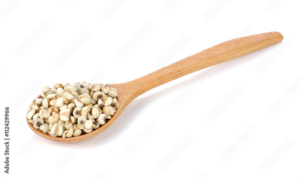 Millet rice, millet grains on white background Millet rice, millet grains on white background