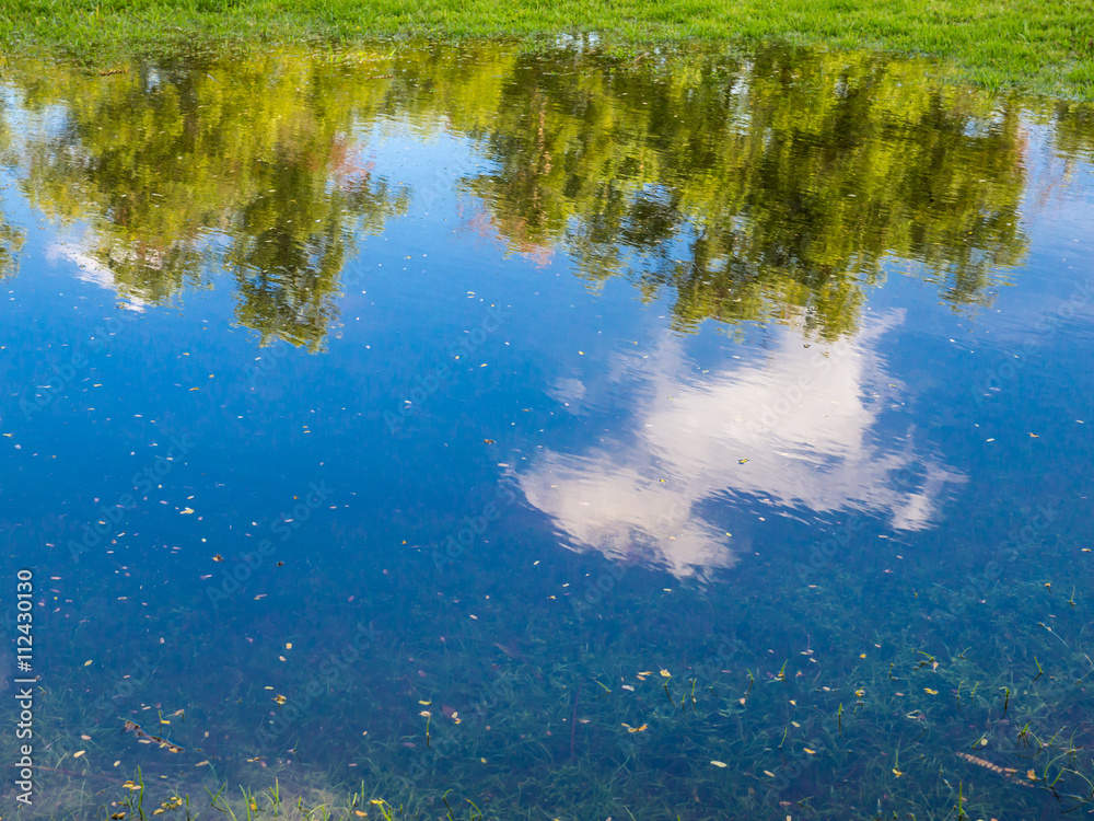 Tree and cloud reflection blur background