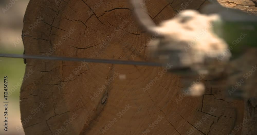 sawmill machine cutting down a tree branch into a wooden beam
