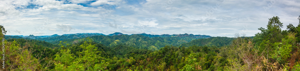 panorama Mountain and trees of the rain forest.