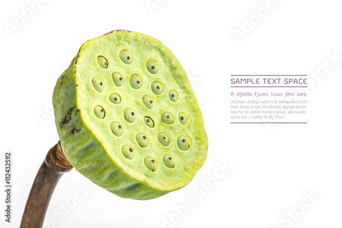 lotus seeds, lotus seeds on white background, Side view photo