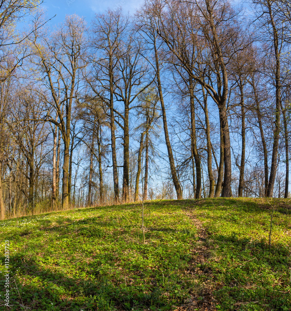 Obraz premium Early morning