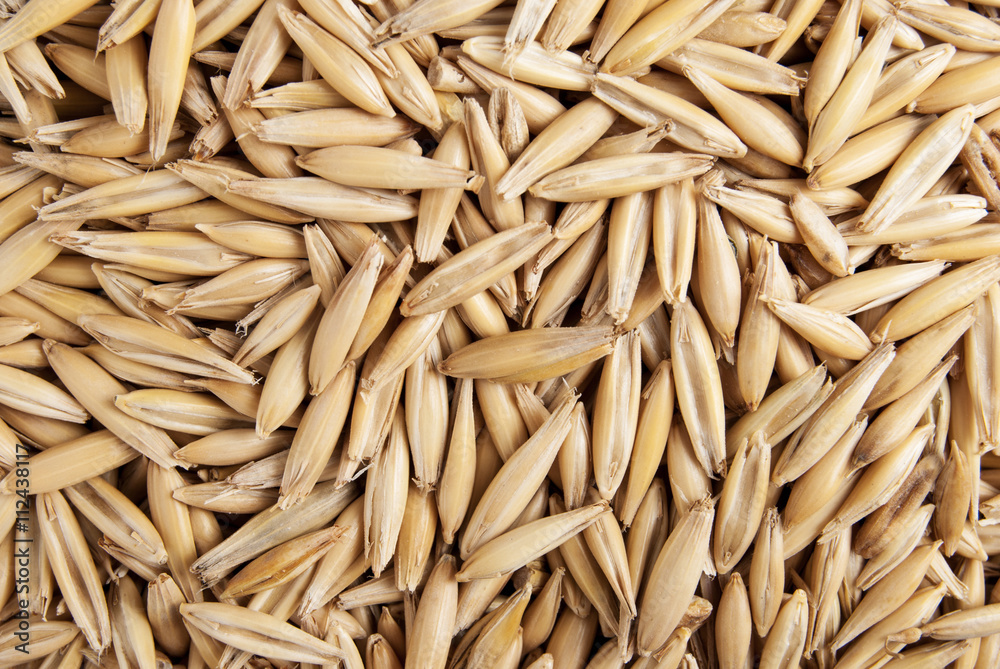 Oat seeds macro background Oat seeds macro background