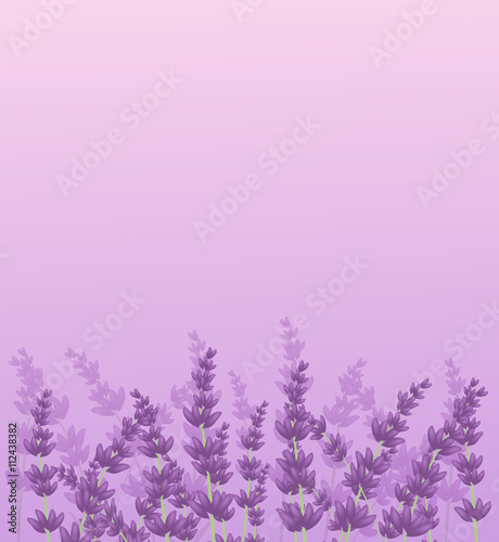 Lavender background illustration