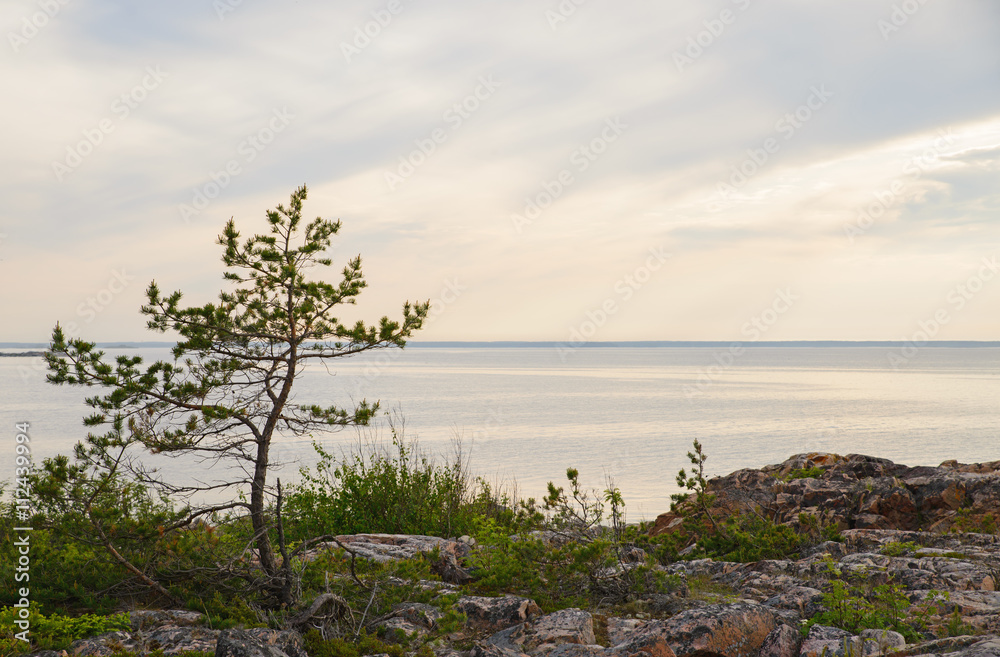Rocky coast at sea archipelago in sweden Rocky coast at sea archipelago in sweden