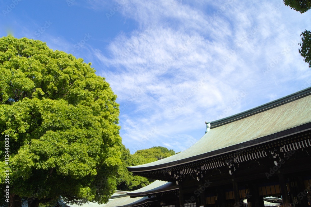 明治神宮の空