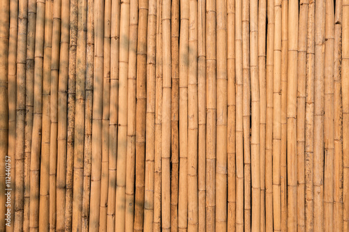 Natural yellow dry bamboo wall