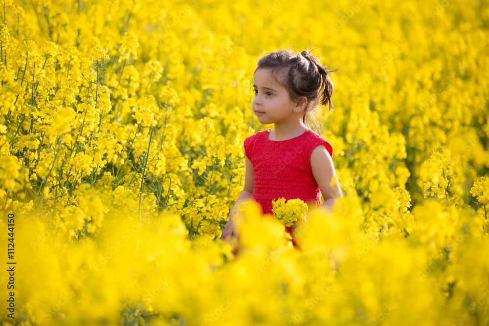 beautiful little girl playing in colza field beautiful little girl playing in colza field