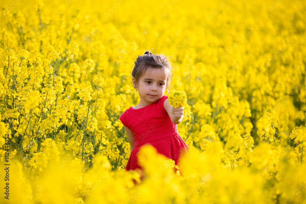 beautiful little girl playing in colza field beautiful little girl playing in colza field