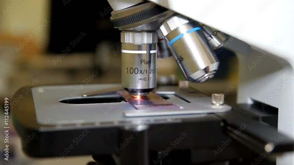 Researchers working in lab with microscope, close up Researchers working in lab with microscope, close up