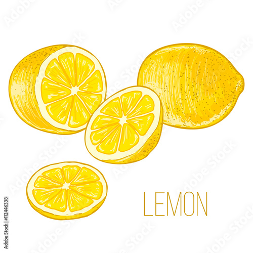 Lemons, sliced lemon on a white background. Vector.