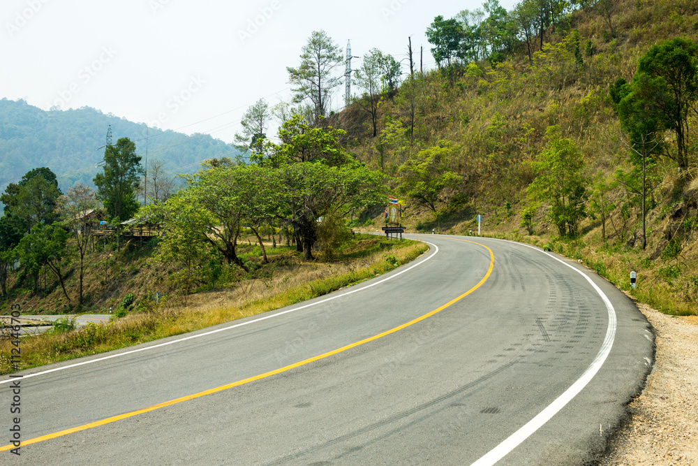 Fototapeta premium The road in the forest