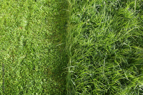 partially cut grass lawn