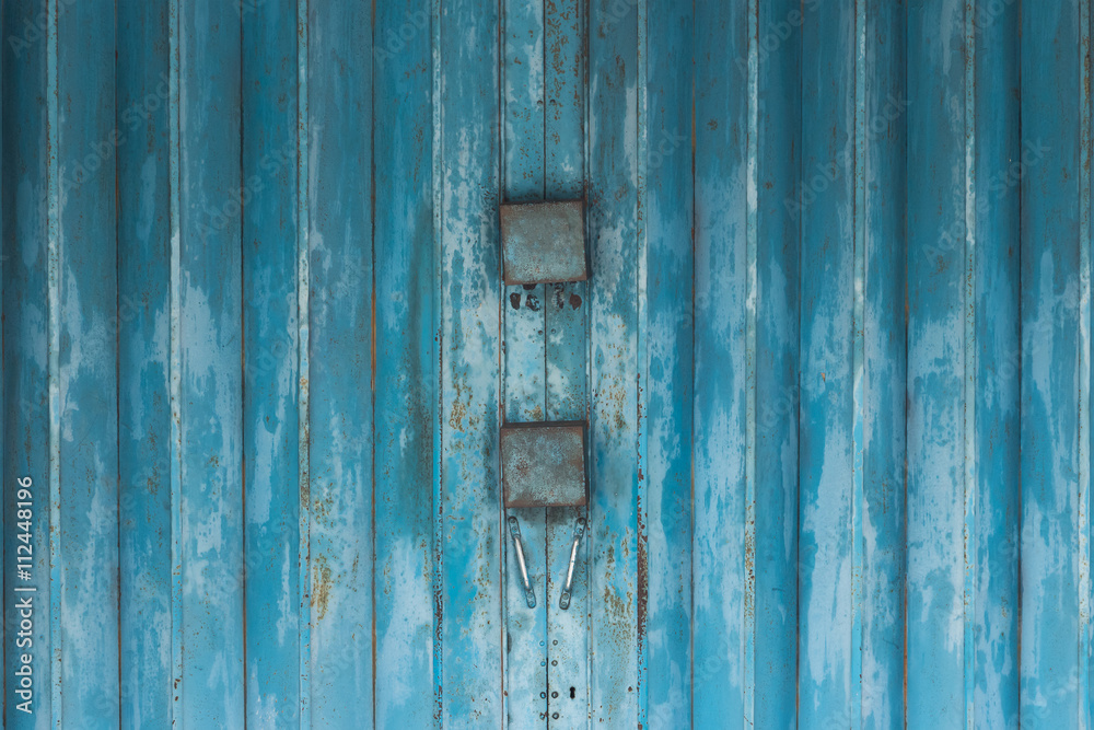 Grunge metal door texture background. Architectural element.