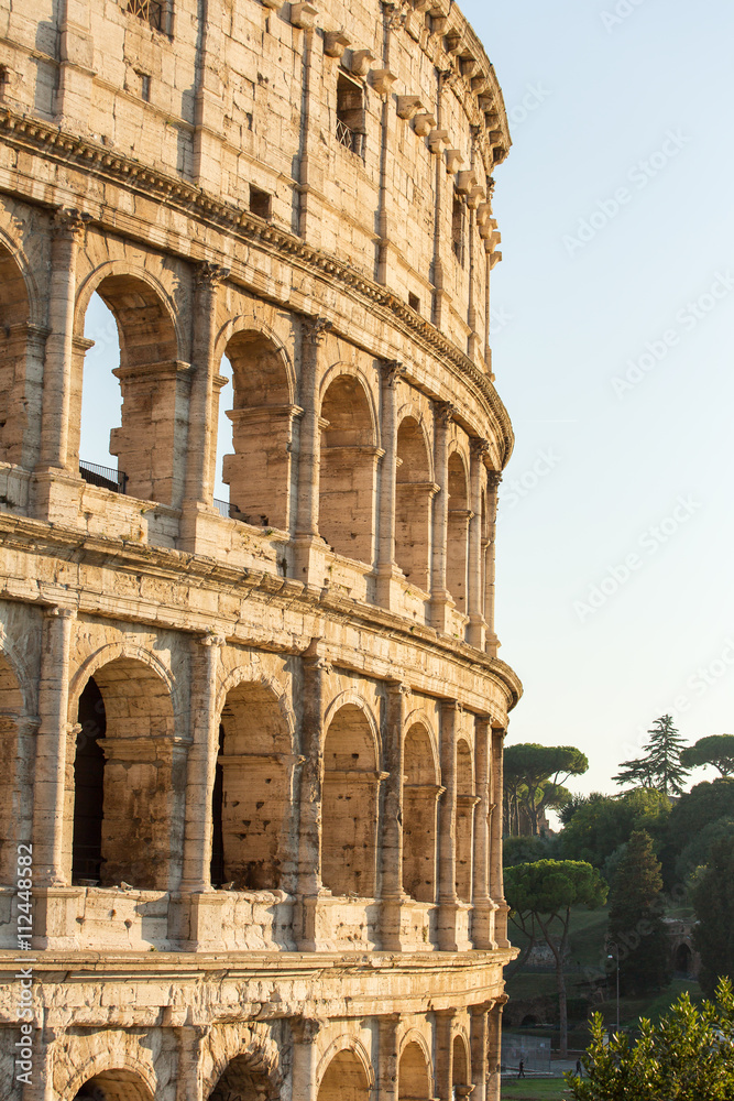 Fototapeta premium Colosseum morning light, Rome, Italy.