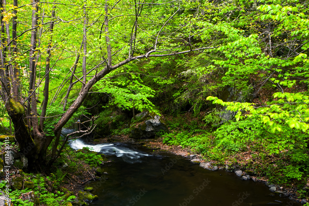 green river in bulgarian mountains