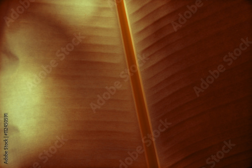 Red Banana Leaf in Thailand 3