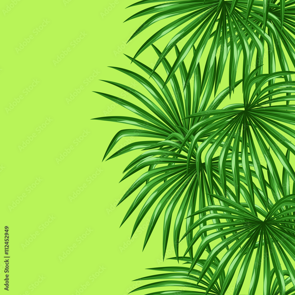Seamless pattern with palms leaves. Decorative image tropical leaf of