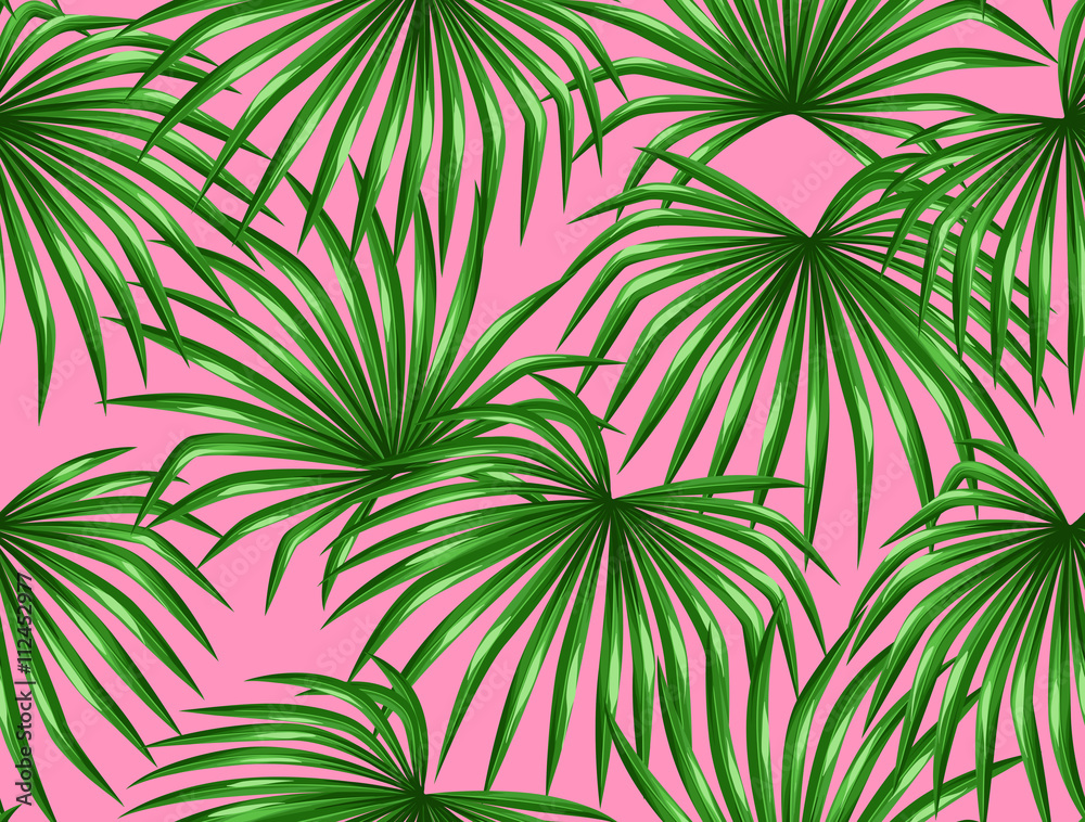 Seamless pattern with palms leaves. Decorative image tropical leaf of palm tree Livistona Rotundifolia. Background made without clipping mask. Easy to use for backdrop, textile, wrapping paper