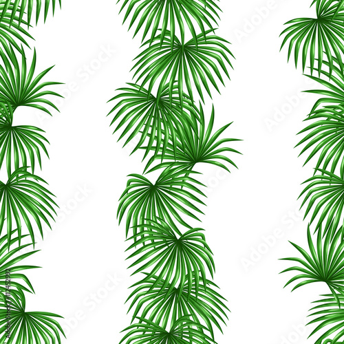 Seamless pattern with palms leaves. Decorative image tropical leaf of palm tree Livistona Rotundifolia. Background made without clipping mask. Easy to use for backdrop, textile, wrapping paper © incomible