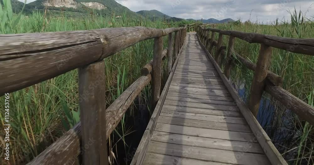 Slider on the Bridge near the Massaciuccoli Lake Slider on the Bridge near the Massaciuccoli Lake