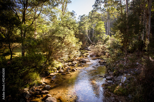 Leather Barrel Creek