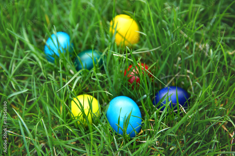 Coloured Easter eggs on green grass, closeup