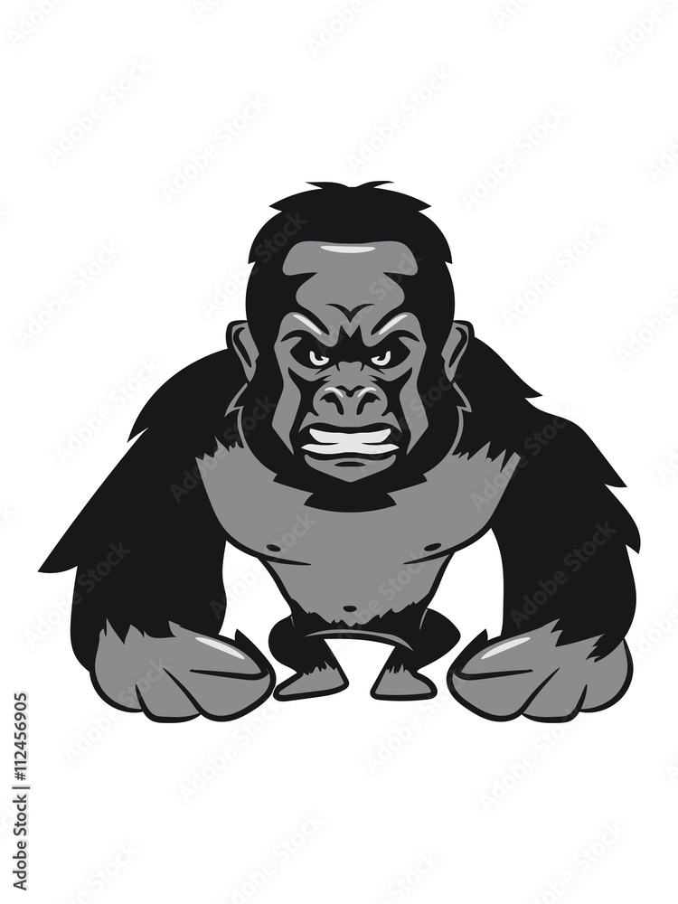 Gorilla agro monkey cool