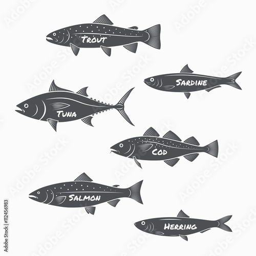 Set of fish silhouettes on white background. Trout, sardine, tuna, cod, salmon and herring labels.