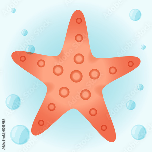 Starfish red on a blue background. Color illustration of a summer theme.