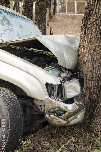 car crash tree