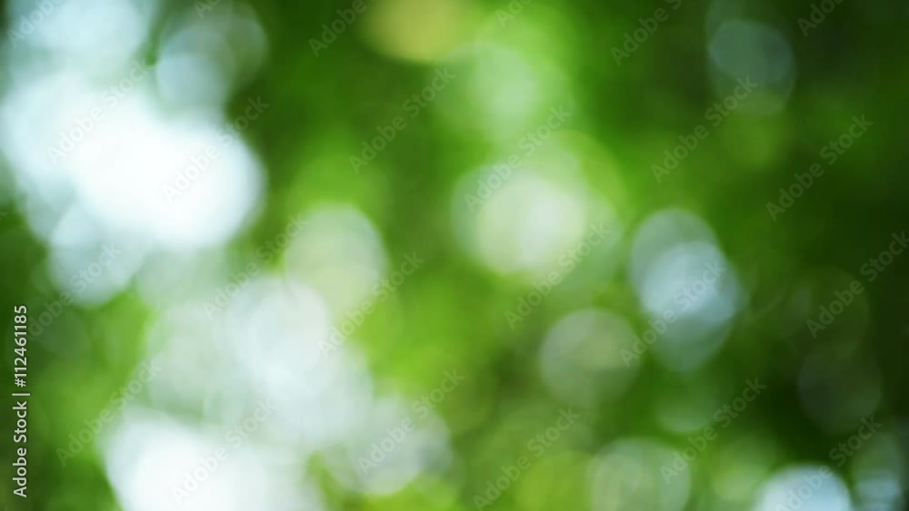 Spinning bokeh background, abstract natural green blur backdrop