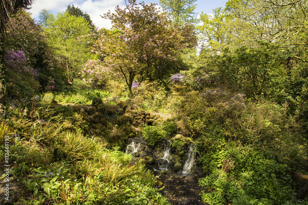 Fototapeta premium Beautiful Summer landscape image of brook flowing over rocks in