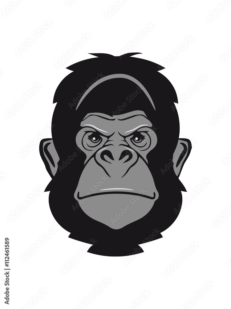 Gorilla ape cool