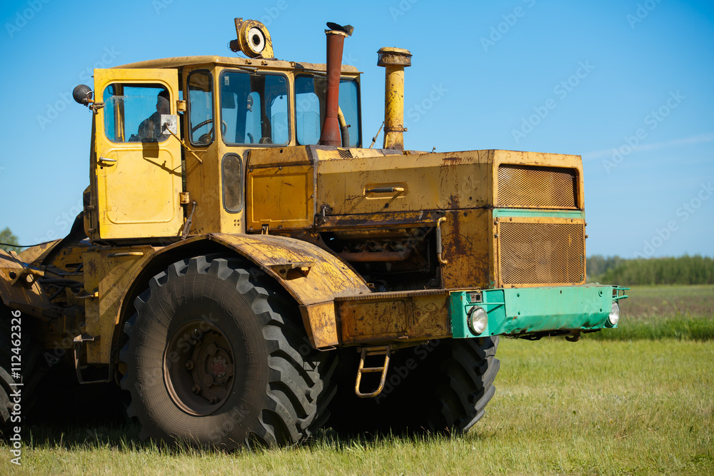 Obraz premium Working Harvesting Combine in the Field of Wheat