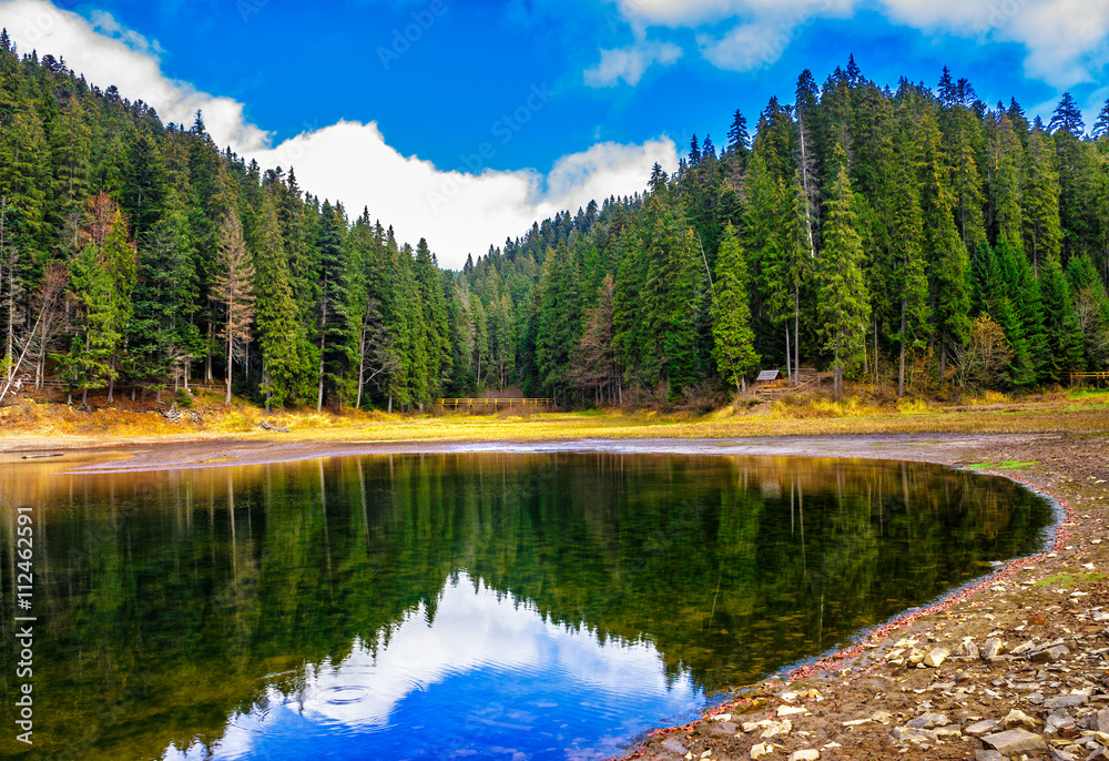 crystal clear lake near the pine forest in mountains