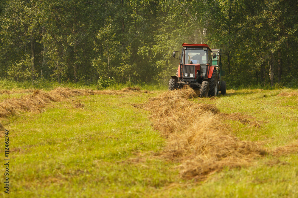 Working Harvesting Combine in the Field of Wheat Working Harvesting Combine in the Field of Wheat