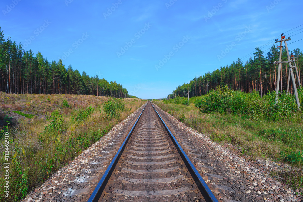 Obraz premium Railroad track with green forest on both sides