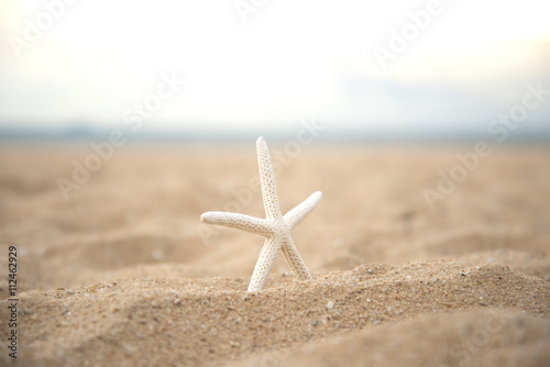 Closeup starfish on the beach and twilight sunset  