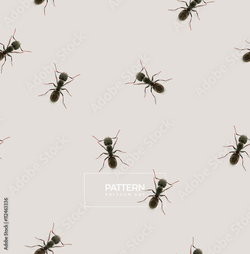 ant pattern