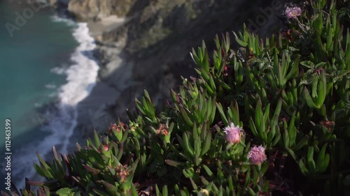 Pan up racking shot of Bixby creek bridge