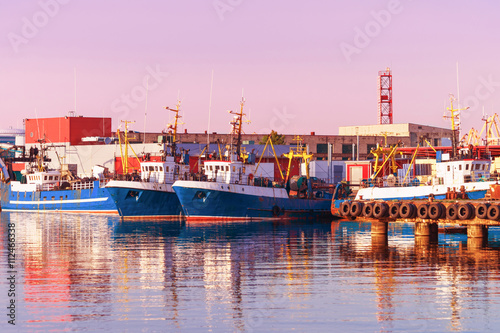Ships in the Marina in Ventspils at sundown photo