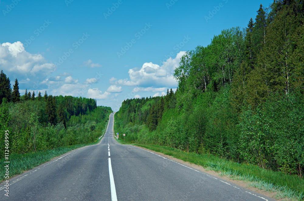 road in Russian forest