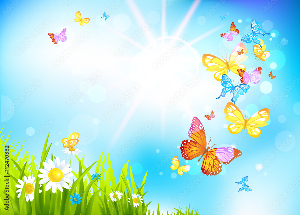 Obraz premium Vector summer background with flowers and butterflies