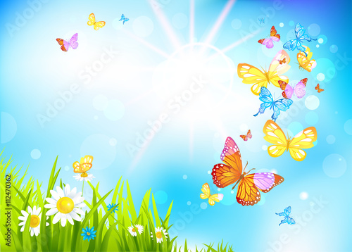 Vector summer background with flowers and butterflies