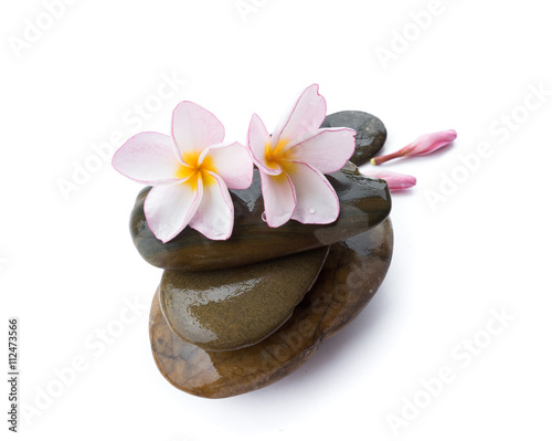 Plumeria flower on stone for spa relax on white background
