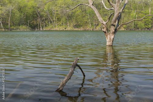 Chester Lake Scenic